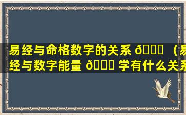 易经与命格数字的关系 🐈 （易经与数字能量 🍀 学有什么关系）